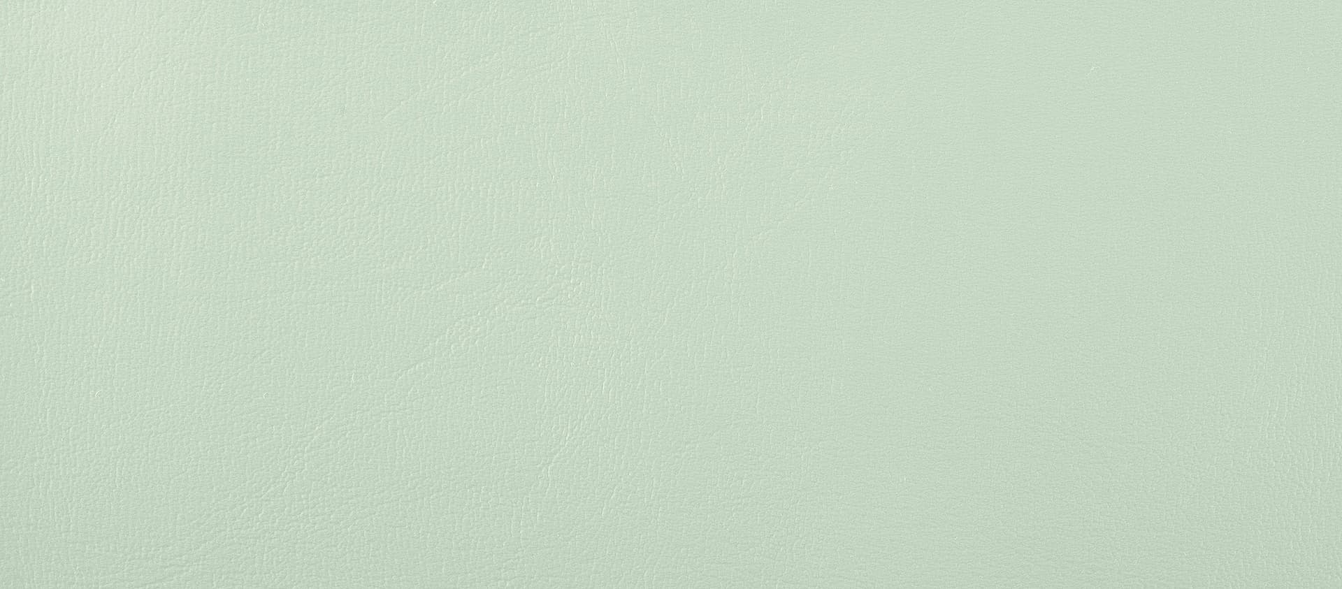 Compact_mint_C450.jpg